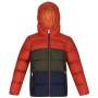 Kinderjacke Regatta Lofthouse V rot/grau Redochrr/Dkkh