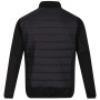 Herrenjacke Regatta Clumber II Hybrid