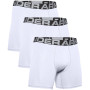 Herren-Boxershorts Under Armour Charged Cotton 6in 3 Pack weiß White / White / White