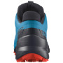 Herrenschuhe Salomon Speedcross 5 GTX