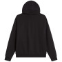 Herren-Sweatshirt The North Face M Evolution Simple Dome Regular Full Zip