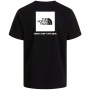 Herren-T-Shirt The North Face M Evolution Box Nse Regular Short Sleeve