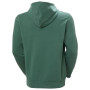 Herren-Sweatshirt Helly Hansen Core Graphic Hoodie
