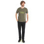 Herren-T-Shirt Icebreaker Tech Lite II SS Tee Alps 3D