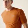 Herren-T-Shirt Dare 2b Power Up Tee