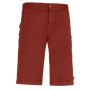 Herrenshorts E9 Kroc Flax rot Brick