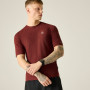 Herren-T-Shirt Dare 2b Power Up Tee