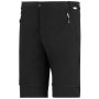Herrenhose Regatta Mountain Z/O Trousers