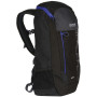 Rucksack Regatta Blackfell III Nano schwarz Black/Surfsp