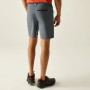 Herrenshorts Regatta Xert Stretch Shorts