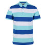 Herren-T-Shirt Regatta Maxen