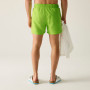 Herrenbadeanzug Regatta Mawson Swim Shorts III