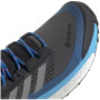 Herrenschuhe Adidas Terrex Free Hiker Gtx