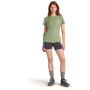 Damen-Funktionsshirt Icebreaker W Mer 150 Tech Lite SS Tee Single Line C