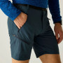 Herrenshorts Regatta Xert Stretch Shorts