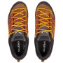 Herrenschuhe Salewa Ms Mtn Trainer Lite
