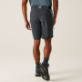 Herrenshorts Regatta Eldes Shorts