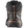 Herrenschuhe Salomon X Ultra 360 Mid Gore-Tex