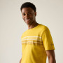 Herren-T-Shirt Regatta Rendro