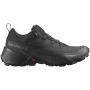 Wanderschuhe Salomon Cross Hike 2 Gore-Tex