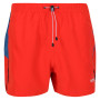 Herrenshorts Regatta Rehere rot FieryRd/Dyns