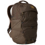 Farbe: braun