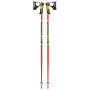 Skistöcke Leki WCR Lite SL 3D