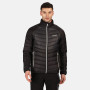 Herrenjacke Regatta Halton IV