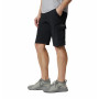 Herrenshorts Columbia Silver Ridge™ II Cargo Short schwarz black