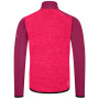 Kinder-Sweatshirt Dare 2b Emergent Core Str 2023