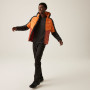 Herrenjacke Regatta Hooded Dalent