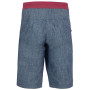 Herrenshorts Direct Alpine Campus Short