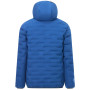 Herren-Steppjacke Regatta Astrel