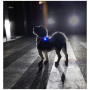 Hundelicht Curli Luumi Safety LED Lights rechargeable