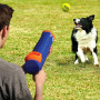 Hundespielzeug Nerf Dog Blaster + Tennis Balls 3 pcs
