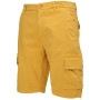 Herrenshorts Loap Vanas