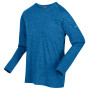 Herren-T-Shirt Regatta Burlow blau ImperialBlue