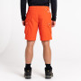 Herrenshorts Dare 2b Tuned In II Short 2023