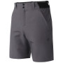 Herrenshorts Dare 2b Torrek II Short
