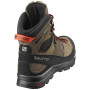 Herrenschuhe Salomon X Alp High Ltr Gtx®