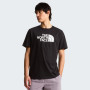 Herren-T-Shirt The North Face Evolution Half Dome Regular Short Slee