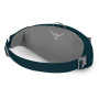 Hüfttasche Osprey Daylite Waist