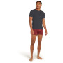 Herren-T-Shirt Icebreaker M Anatomica SS Crewe