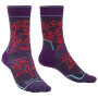 Damensocken Bridgedale Hike MW MP Boot Women's