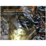 Stirnlampe Fenix HM53R Garnet
