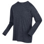 Herren-T-Shirt Regatta Burlow dunkelgrau India Grey