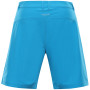 Herrenshorts Alpine Pro Col