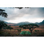 Wanderzelt Vango Scafell 300 Plus 2024