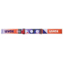 Skibrille Uvex Downhill 2100 CV 2023