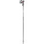 Skistöcke Leki Carbon 14 3D schwarz/grau black-dark anthracite-bright red